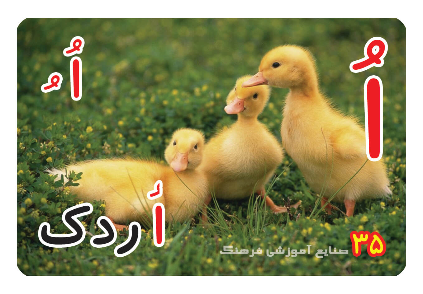 حروف الفبا فارسی