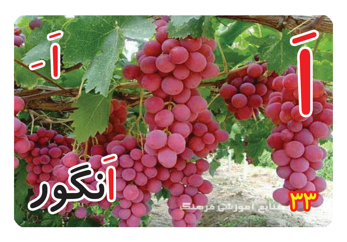 حروف الفبا فارسی
