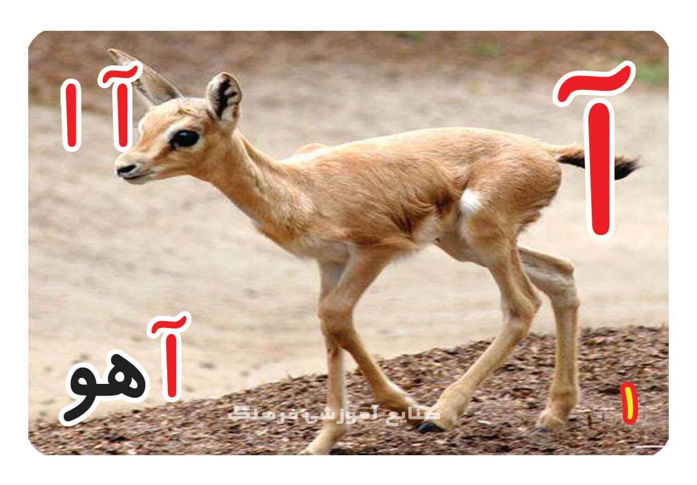 حروف الفبا فارسی