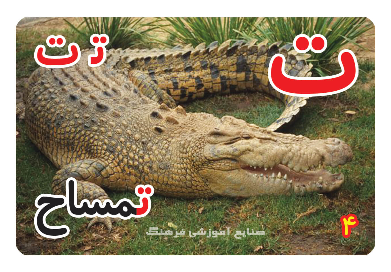 حروف الفبای فارسی