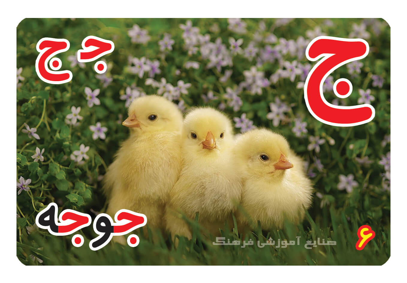 حروف الفبا فارسی ، الفبای فارسی ، حروف الفبا