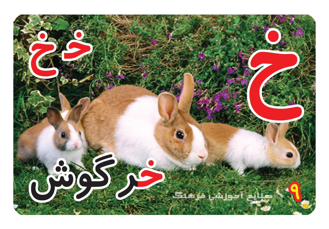 حروف الفبا فارسی ، الفبای فارسی ، حروف الفبا