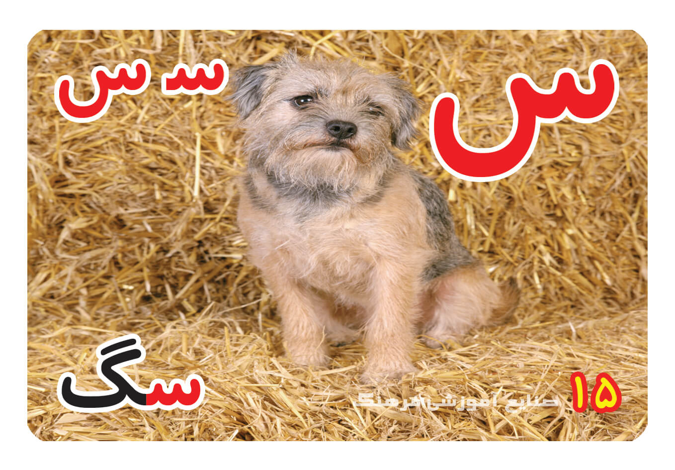 حروف الفبا فارسی