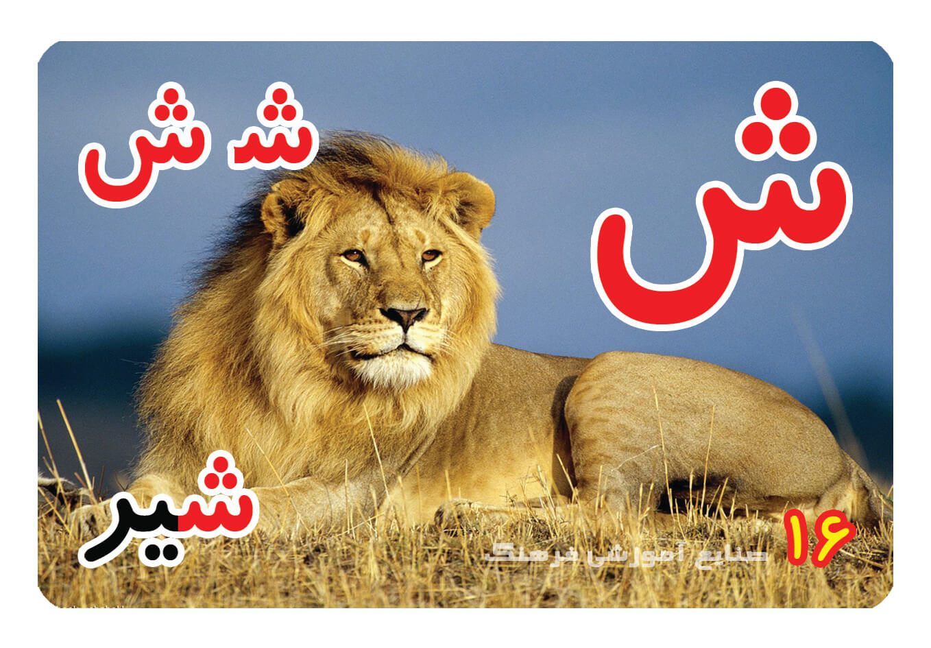 حروف الفبای فارسی