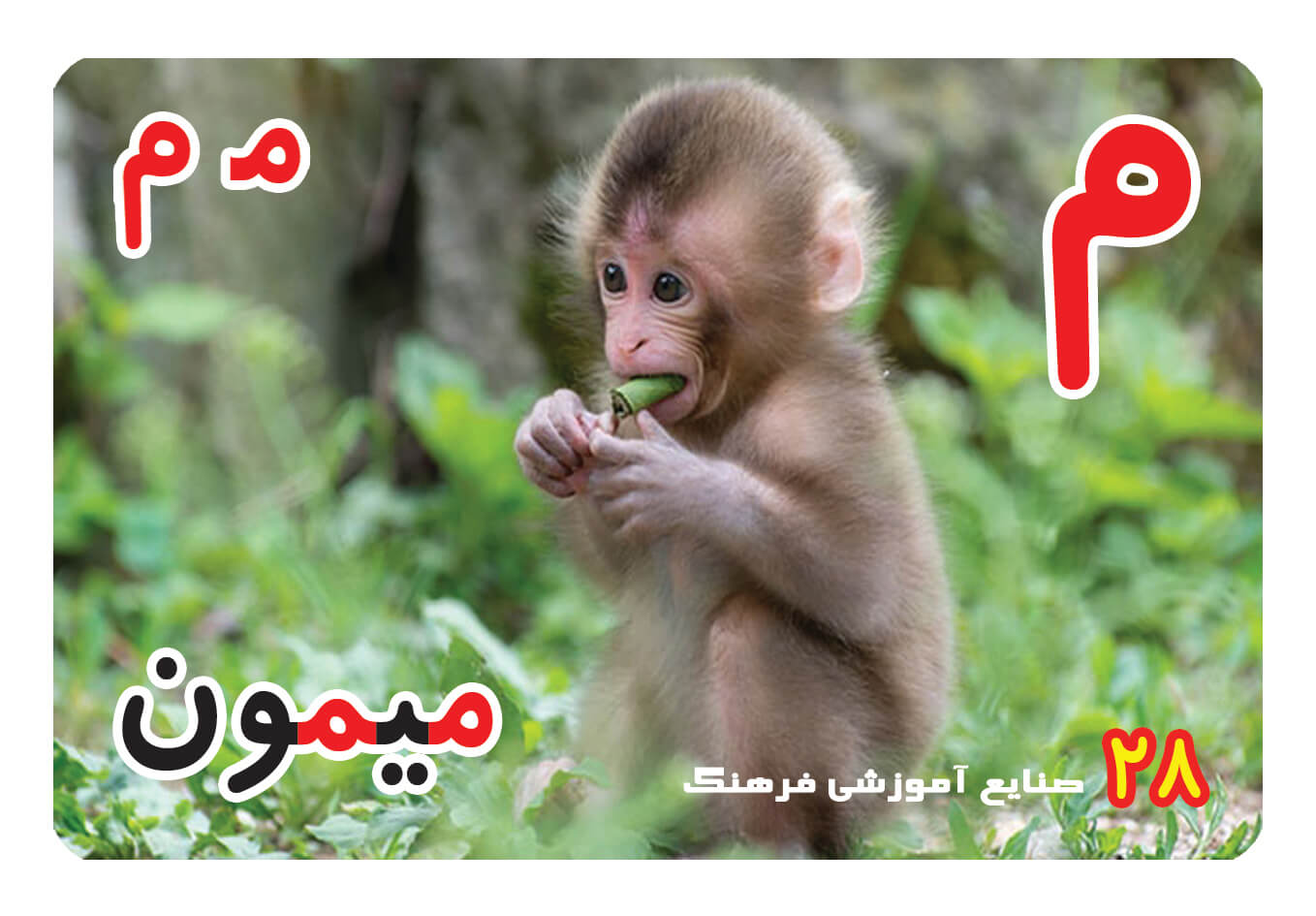 حروف الفبا فارسی ، الفبای فارسی ، حروف الفبا